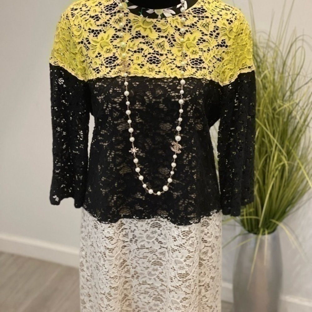 Max Mara Lace Dress - Picture 12 of 14